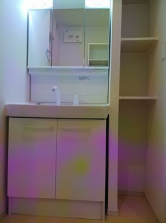 忙しい朝には欠かせない洗面所です
