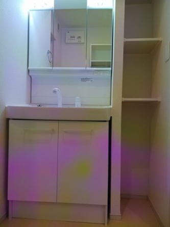 忙しい朝には欠かせない洗面所です