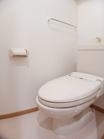 落ち着いた色調のトイレです