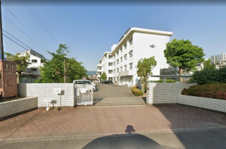 松山市立八坂小学校まで1134m