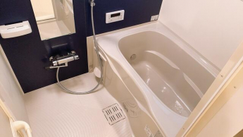 ｑｕｉｎｚｅ　ｌｉｅｕの画像