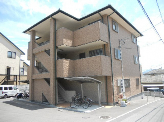 完成写真