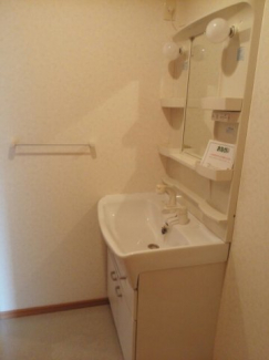 広い洗面スペース