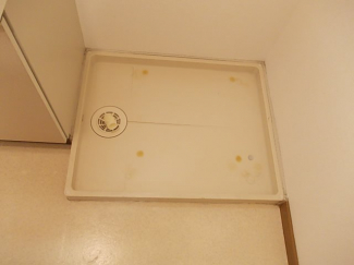 きれいな内装です