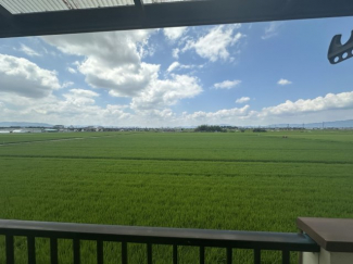 田園眺望