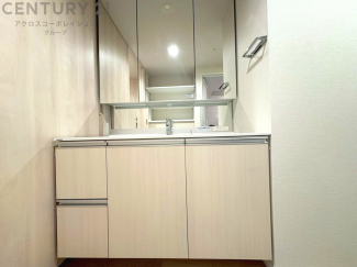 化粧品や洗顔料、歯ブラシなどの必需品をまとめて置ける収納スペースがあり、使用するたびに取り出す手間が省けます。また、水回りのため、濡れても大丈夫な素材が使用されており、お手入れが簡単です。