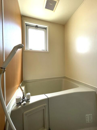 浴槽とシャワーがあります。