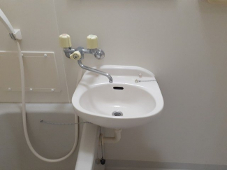 忙しい朝には欠かせない洗面所です