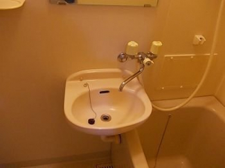 スペースが確保できる洗面所です