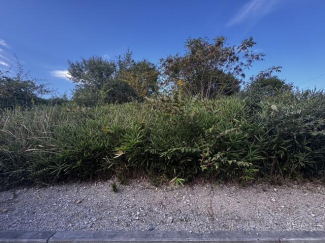 小野市天神町の売地の画像