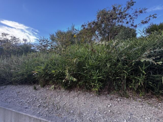 小野市天神町の売地の画像