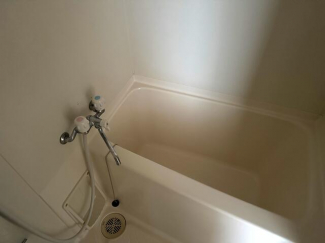 オーパスワンの画像