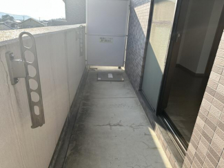 オーパスワンの画像