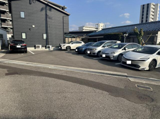 オーパスワンの画像