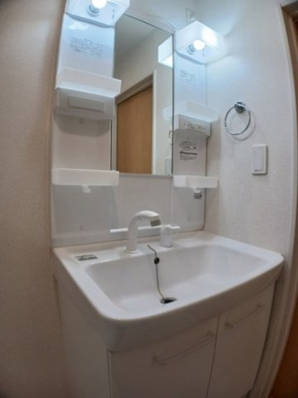 忙しい朝には欠かせない洗面所です