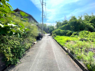 【前面道路含む現地写真】