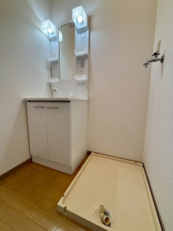 シャンプードレッサー