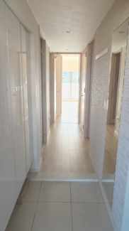 玄関には調湿、脱臭、おしゃれさを兼ね備えたエコカラットを利用