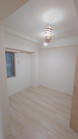 洋室は丁寧にご利用で、照明器具付き