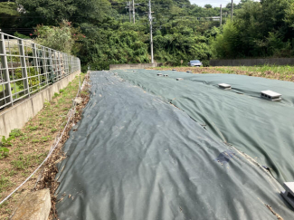 松山市下難波の売地の画像