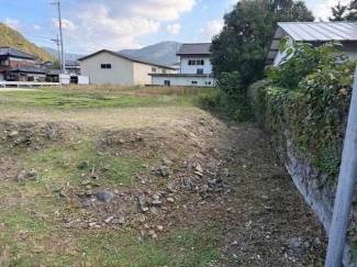 西側隣地から２ｍ程度、樹木が越境してきております！ご了承下さ