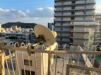 松山市本町６丁目の中古マンションの画像