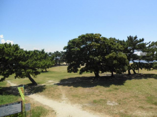 西宮市　西波止町　中古戸建の画像