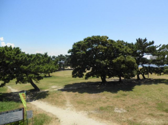 西宮市　西波止町　中古戸建の画像