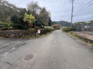 【前面道路含む現地写真】