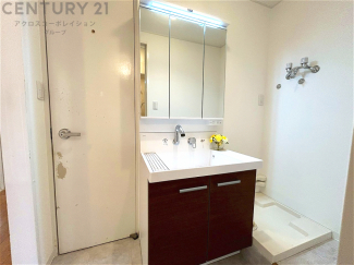 化粧品や洗顔料、歯ブラシなどの必需品をまとめて置ける収納スペースがあり、使用するたびに取り出す手間が省けます。また、水回りのため、濡れても大丈夫な素材が使用されており、お手入れが簡単です。