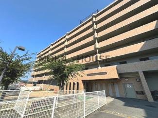 キッチン新品です