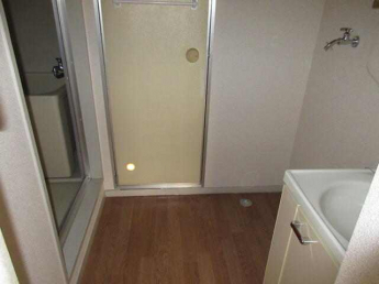 カーサ．ドミンゴの画像