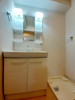 スペースが確保できる洗面所です