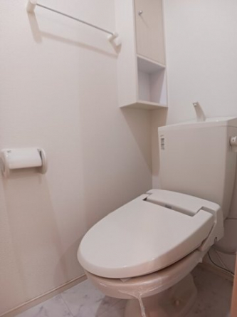 落ち着いた色調のトイレです