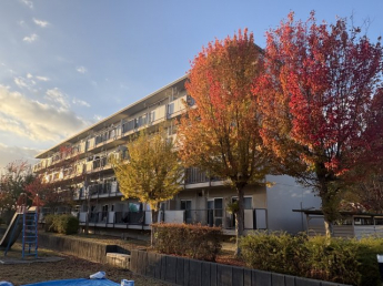 ■　ご希望の住まい探しをお手伝いします　　━━━━━・・・物件の詳細・ご相談はお気軽にお問い合わせください。