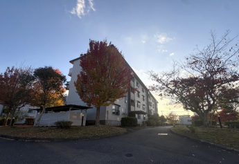 落ち着いた閑静な住宅街です