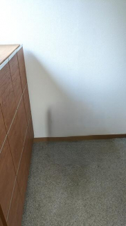 エバーグリーン今宿　Ａ棟の画像