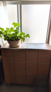 エバーグリーン今宿　Ａ棟の画像