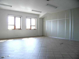 テラコッタ斎院の画像