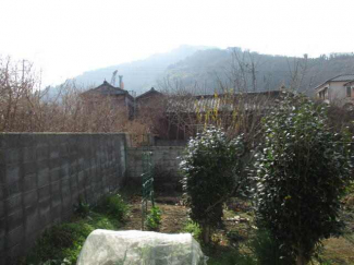 八幡浜市保内町喜木の売地の画像