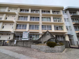 松山市立小野中学校まで516m