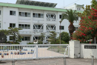 松山市立垣生小学校まで606m