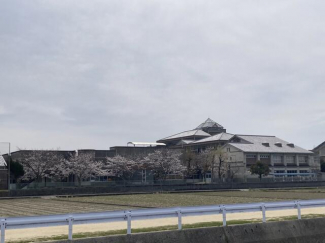 さくら小学校