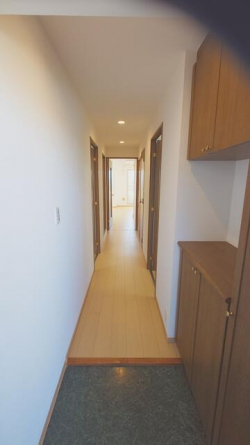 メゾンドール瀬田公園都市Ⅱ番館の画像