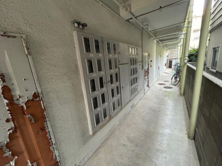 松山市柳井町２丁目のマンションの画像