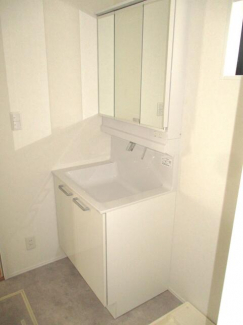 鏡の裏も収納量も多いです、シャワーも付いています