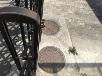 公共下水引込済みです。