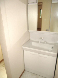 鏡の裏も収納量も多いです、