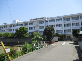松山市立石井東小学校まで979m