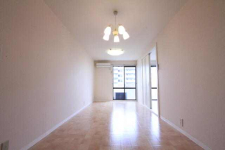 コスモクリアＤの画像